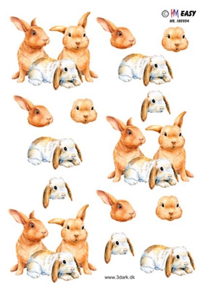 3D Kaniner